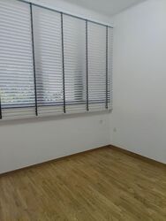 Park Colonial (D13), Condominium #568295161